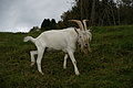 DSC09938 - Bernhard Saalfeld