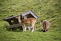 DSC09940 - Bernhard Saalfeld