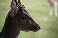DSC09942 - Bernhard Saalfeld