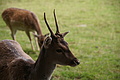DSC09943 - Bernhard Saalfeld