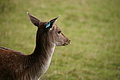 DSC09944 - Bernhard Saalfeld