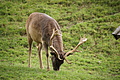 DSC09946 - Bernhard Saalfeld