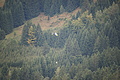 DSC09947 - Bernhard Saalfeld