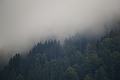 DSC09948 - Bernhard Saalfeld