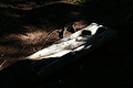 DSC09956 - Bernhard Saalfeld
