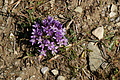 DSC09997 - Bernhard Saalfeld