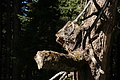DSC09998 - Bernhard Saalfeld