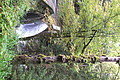DSCF7689 - Bernhard Saalfeld