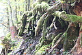 DSCF7694 - Bernhard Saalfeld