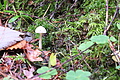 DSCF7697 - Bernhard Saalfeld
