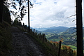 DSCF7709 - Bernhard Saalfeld