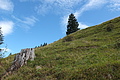 DSCF7711 - Bernhard Saalfeld