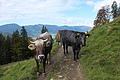 DSCF7712 - Bernhard Saalfeld