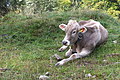 DSCF7714 - Bernhard Saalfeld