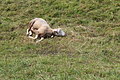 DSCF7739 - Bernhard Saalfeld