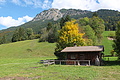 DSCF7741 - Bernhard Saalfeld