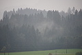 DSC08870 - Bernhard Saalfeld