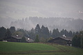 DSC08871 - Bernhard Saalfeld