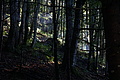 DSC08883 - Bernhard Saalfeld