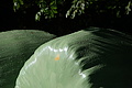 DSC08884 - Bernhard Saalfeld