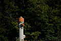DSC08887 - Bernhard Saalfeld