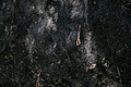 DSC08905 - Bernhard Saalfeld