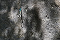 DSC08907 - Bernhard Saalfeld