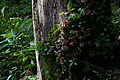 DSC08908 - Bernhard Saalfeld
