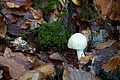 DSC08924 - Bernhard Saalfeld