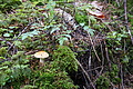 DSC08926 - Bernhard Saalfeld