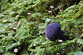 DSC08928 - Bernhard Saalfeld