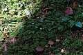 DSC08929 - Bernhard Saalfeld