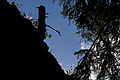DSC08934 - Bernhard Saalfeld
