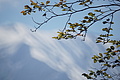 DSC08942 - Bernhard Saalfeld