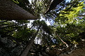 DSC08945 - Bernhard Saalfeld
