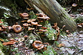 DSC08956 - Bernhard Saalfeld