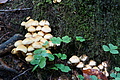 DSC08964 - Bernhard Saalfeld