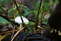 DSC08965 - Bernhard Saalfeld