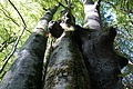 DSC08970 - Bernhard Saalfeld