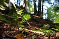 DSC08972 - Bernhard Saalfeld