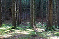 DSC08973 - Bernhard Saalfeld