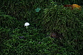 DSC08983 - Bernhard Saalfeld