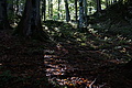 DSC08984 - Bernhard Saalfeld
