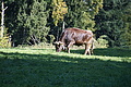 DSC08986 - Bernhard Saalfeld