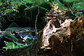 DSC08992 - Bernhard Saalfeld