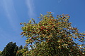 DSC09004 - Bernhard Saalfeld