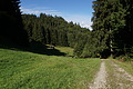DSC09017 - Bernhard Saalfeld