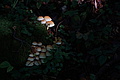 DSC09022 - Bernhard Saalfeld