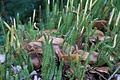 DSC09023 - Bernhard Saalfeld