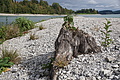 DSC09038 - Bernhard Saalfeld